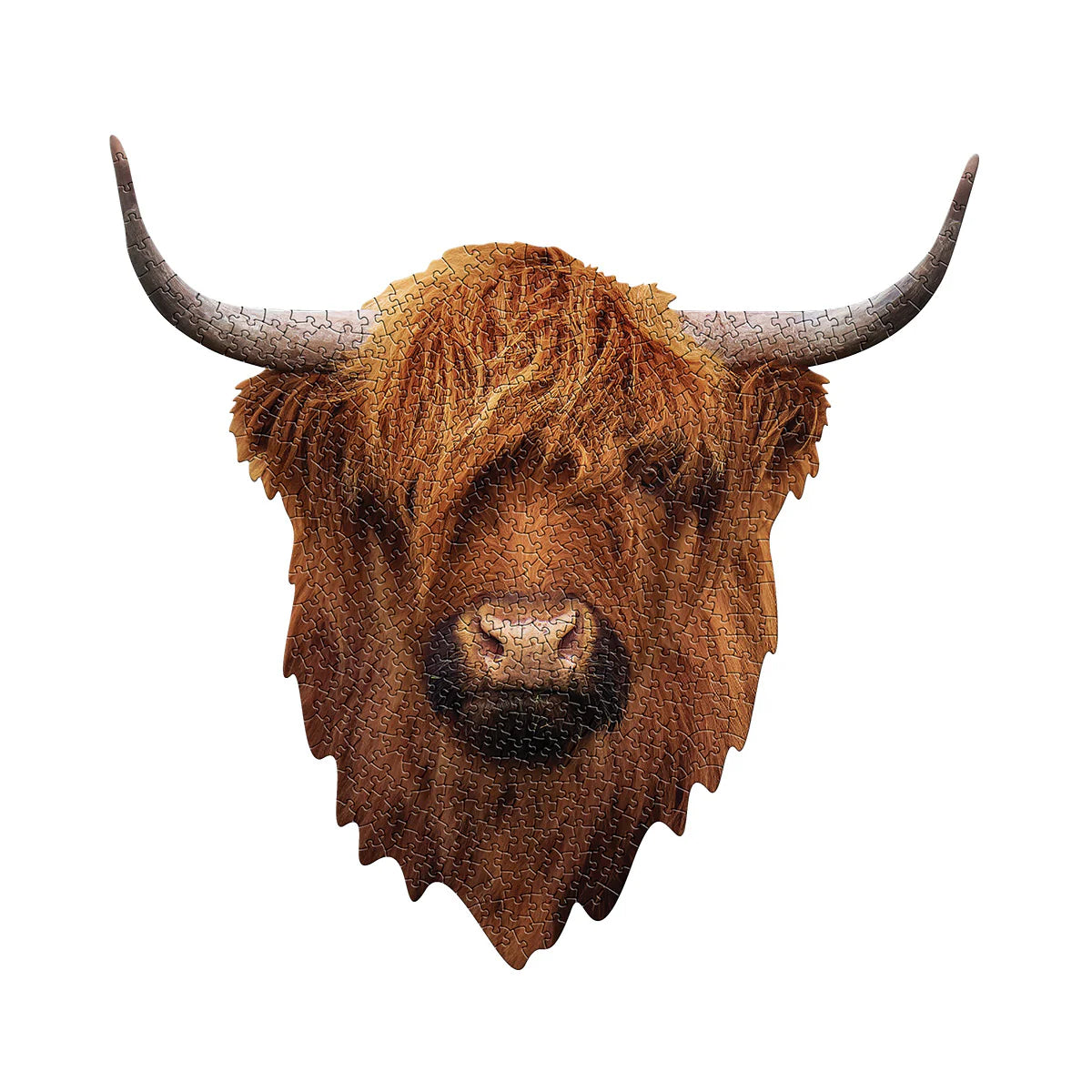 Puzzle - 550 Piece - I am highland cow