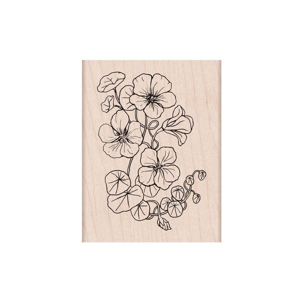 Stamp- Flowering Nasturtium Wood Stamps