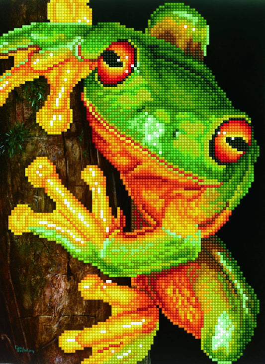 Diamond Dotz - Green Tree Frog Pre-Framed Kit - 10.6" x 14.6"