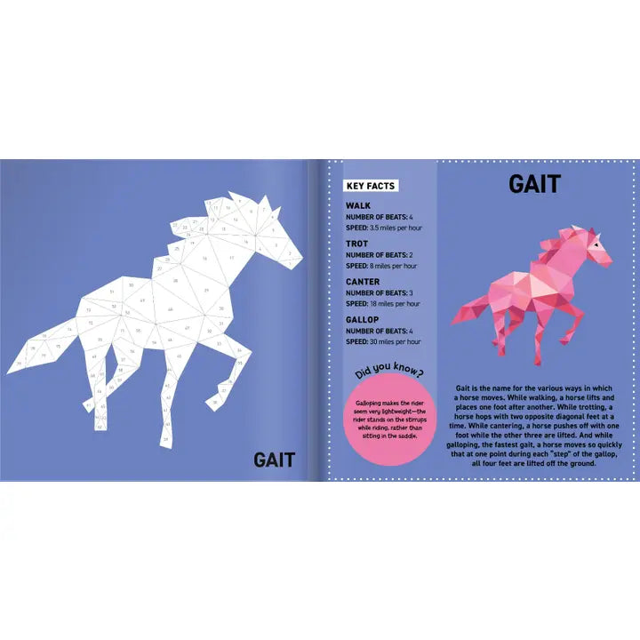 Sticker - My Sticker Painting Book Horses