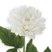 Flower - 12 Inch White Real Touch Dahlia Single Stem