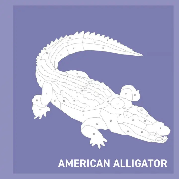 Sticker - My Sticker Painting Book Reptiles