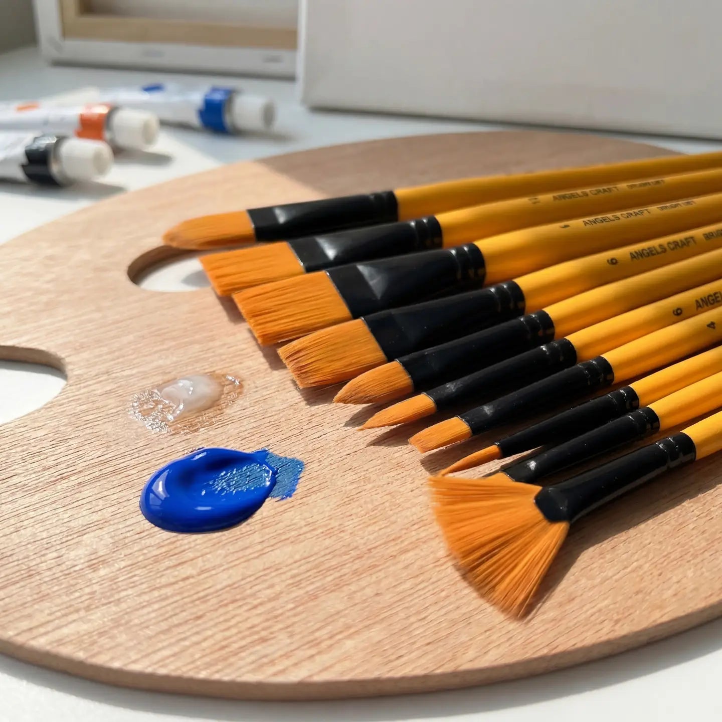 Paint Brush - Asst. 10ct Set w/ case