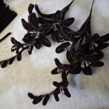 Pipe Cleaners - Black 25ct