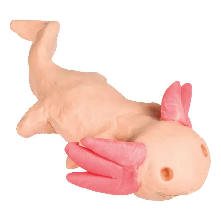 Clay - Mini Multi-Colored Modeling Clay