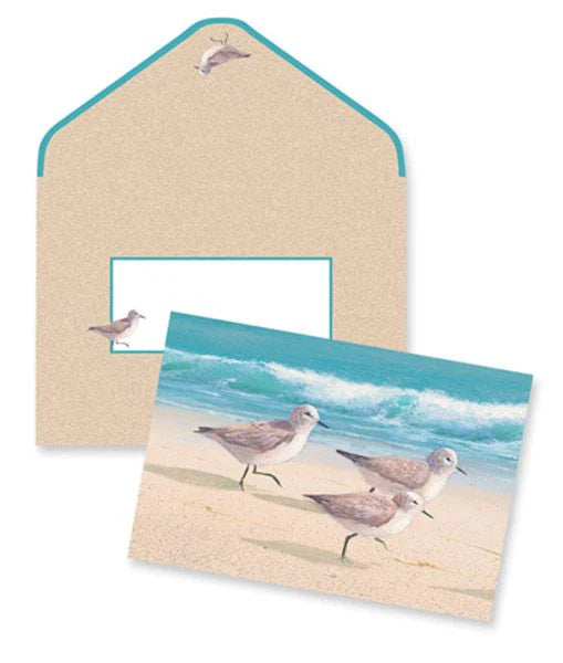 Note Cards - Boxed Sandpiper Note Cards with Matching Envelopes