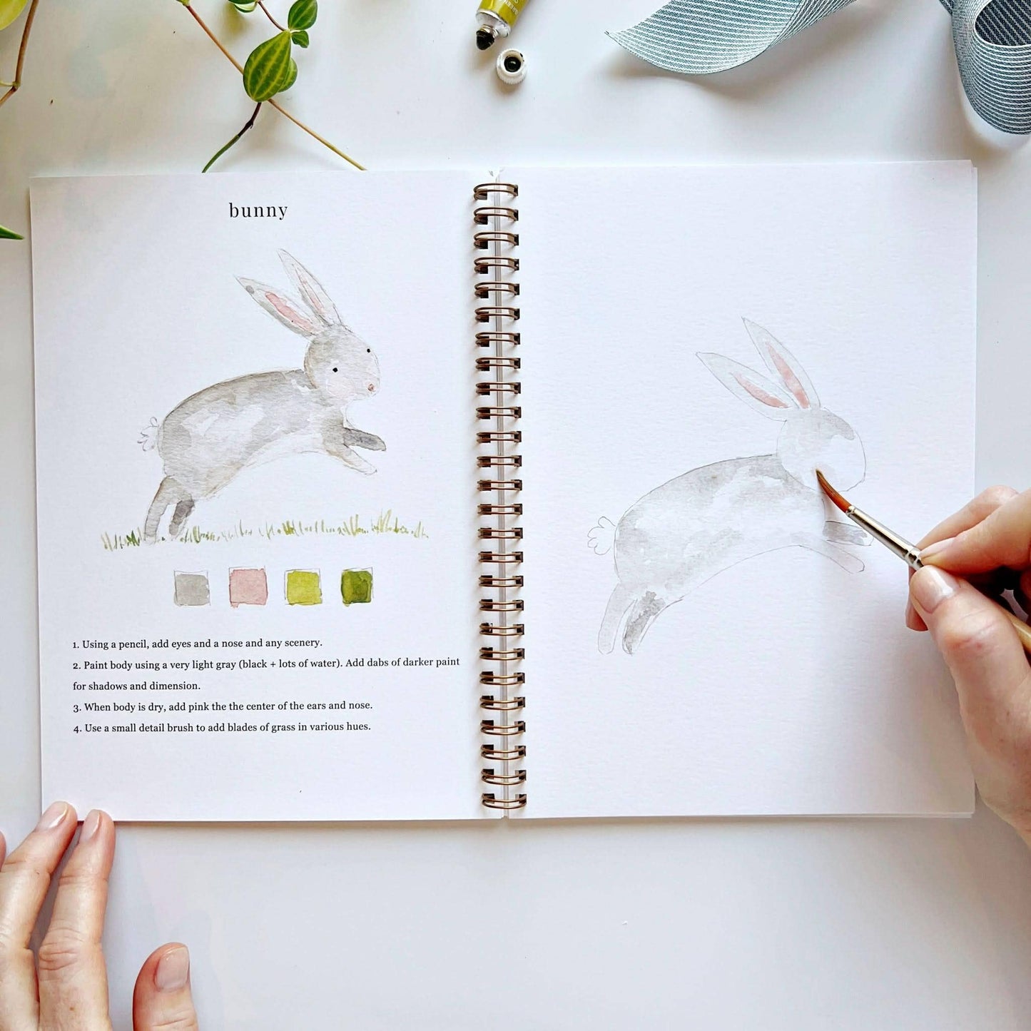 Workbook - Animals watercolor workbook