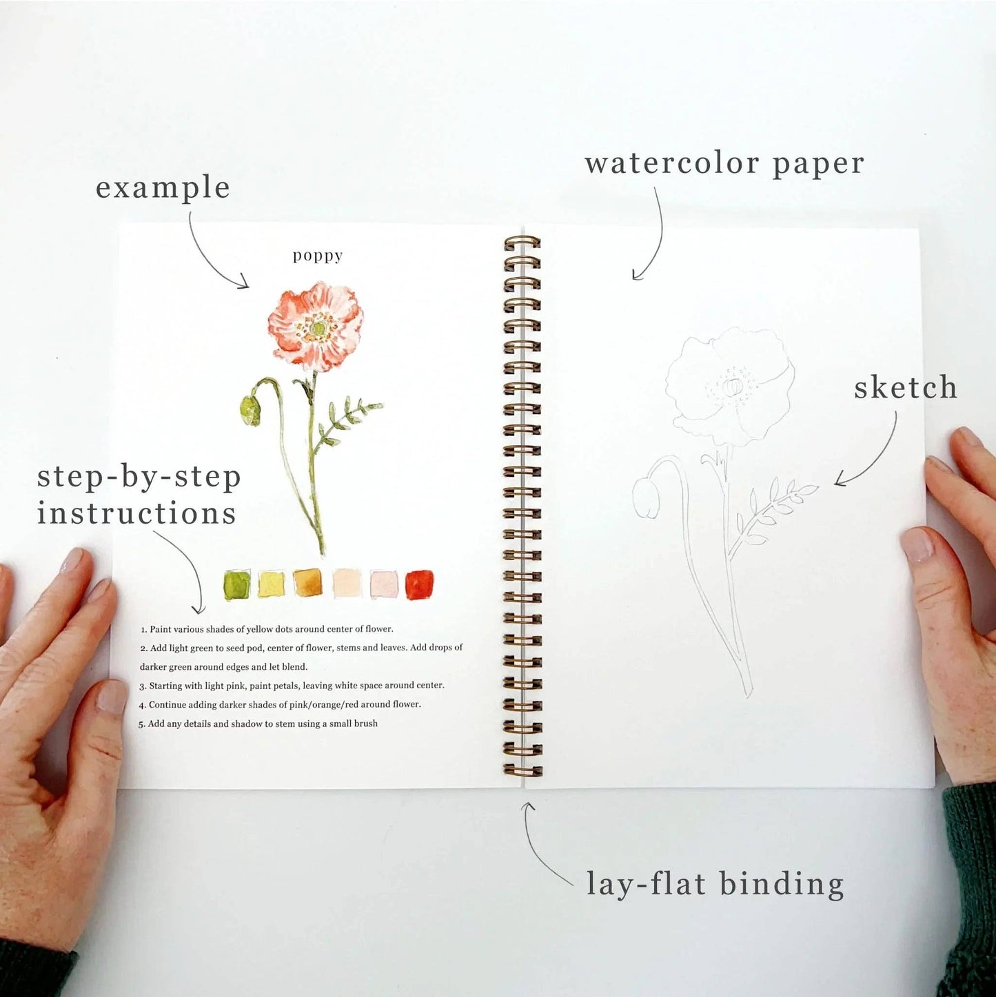 Workbook - Flowers watercolor workbook