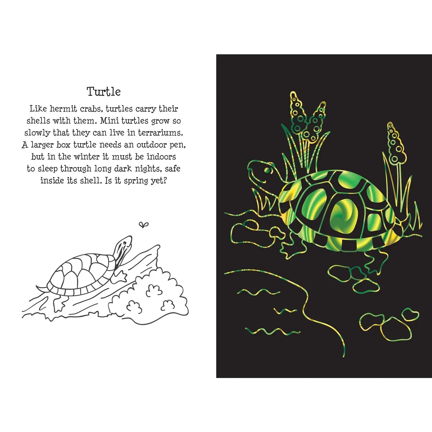 Scratch and Sketch - Pet Shop