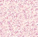 Glue - Ranger Stickles Glitter Glue .5oz