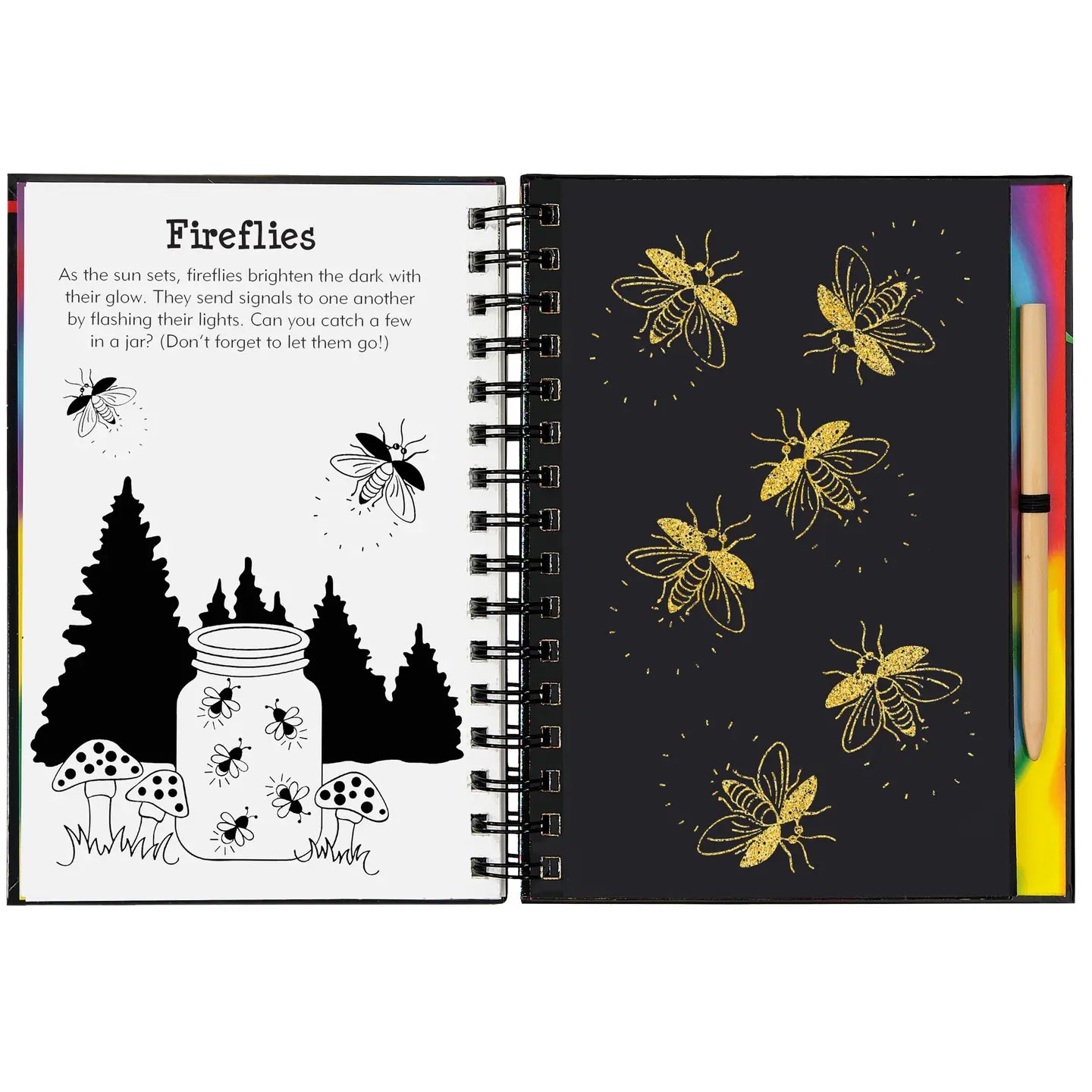 Scratch and Sketch - Sparkle