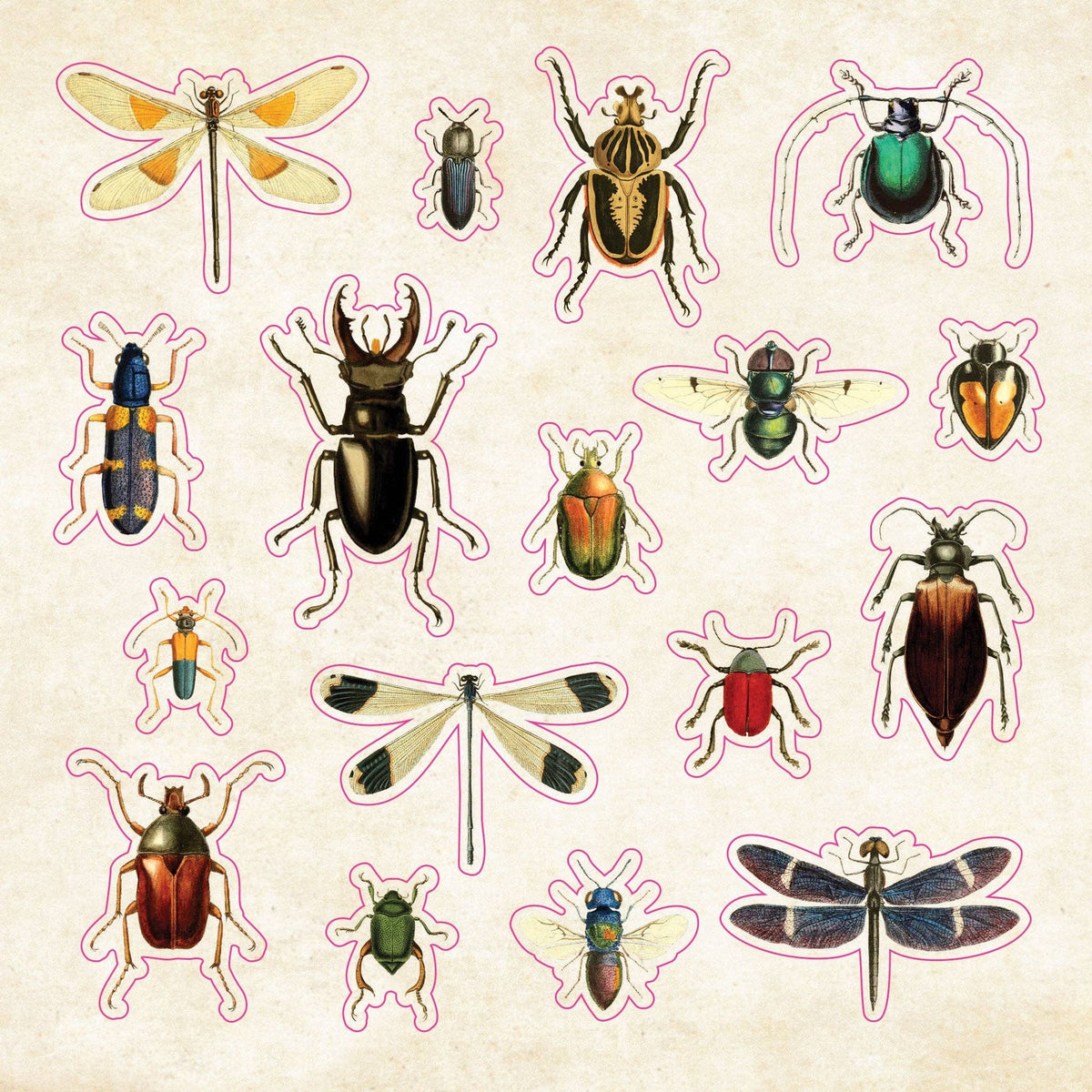 Stickers - The Sticker Book of Curiosities