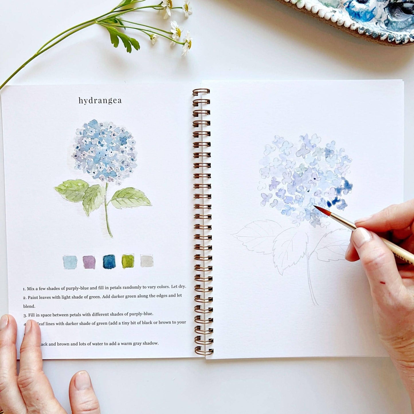 Workbook - Flowers watercolor workbook