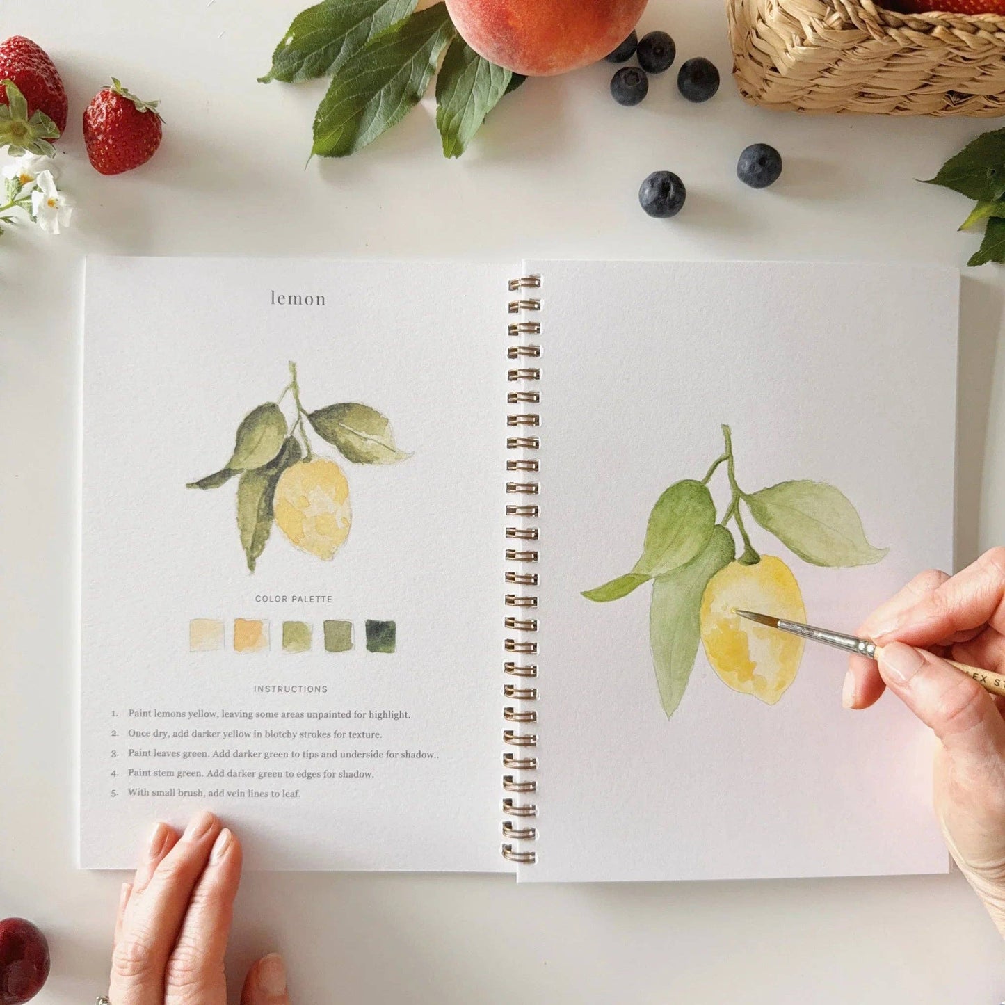 Workbook - Fruit watercolor workbook