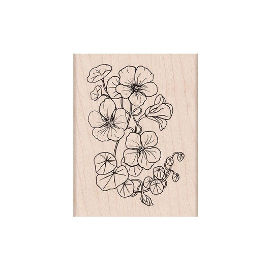 Stamp-  Flowering Nasturtium Wood Stamps