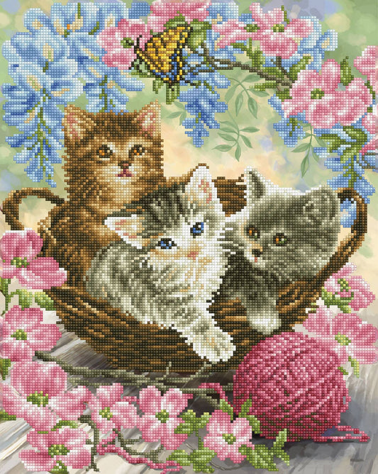 Diamond Dotz - Kitty Knits