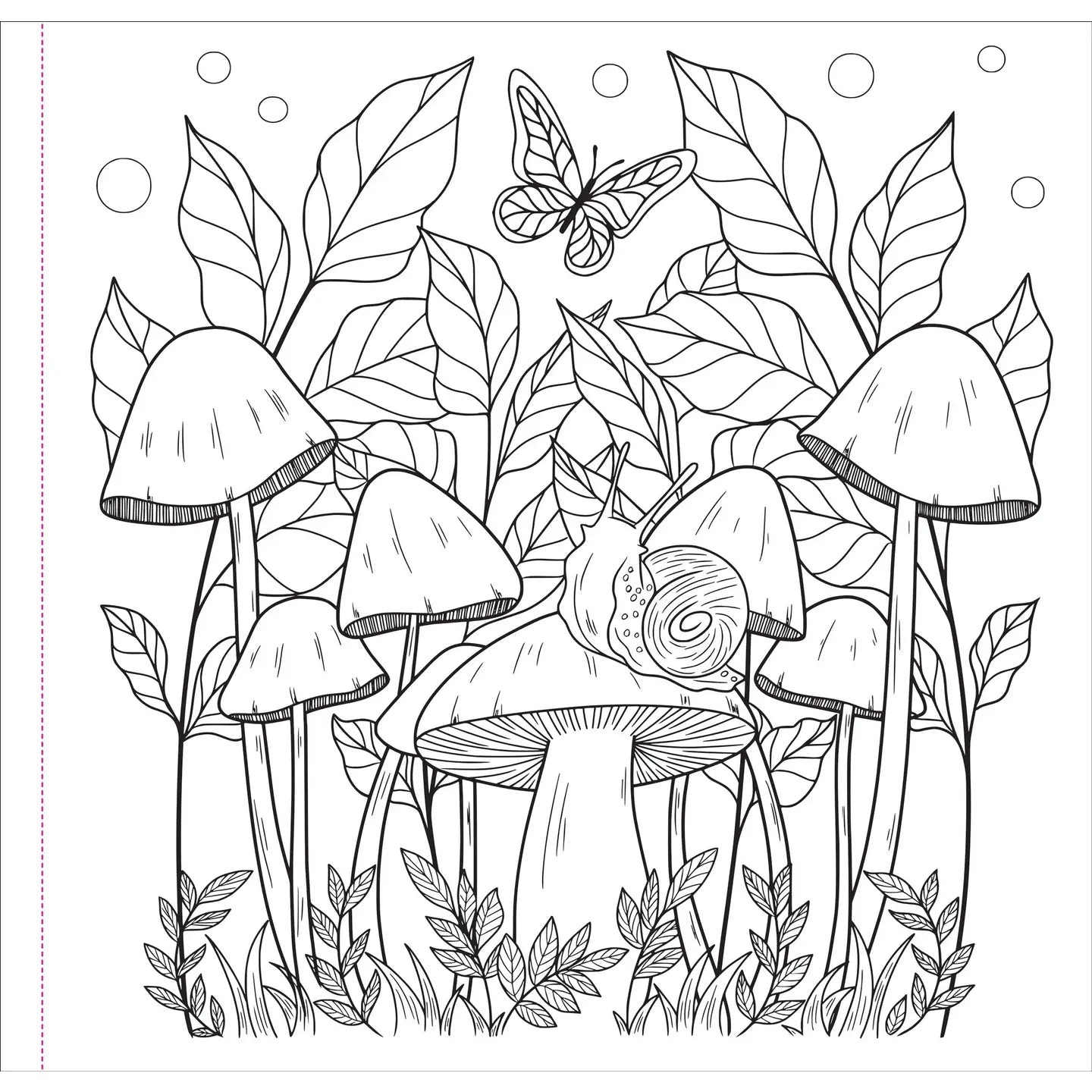 Coloring Book - Mushrooms Adult Coloring Book