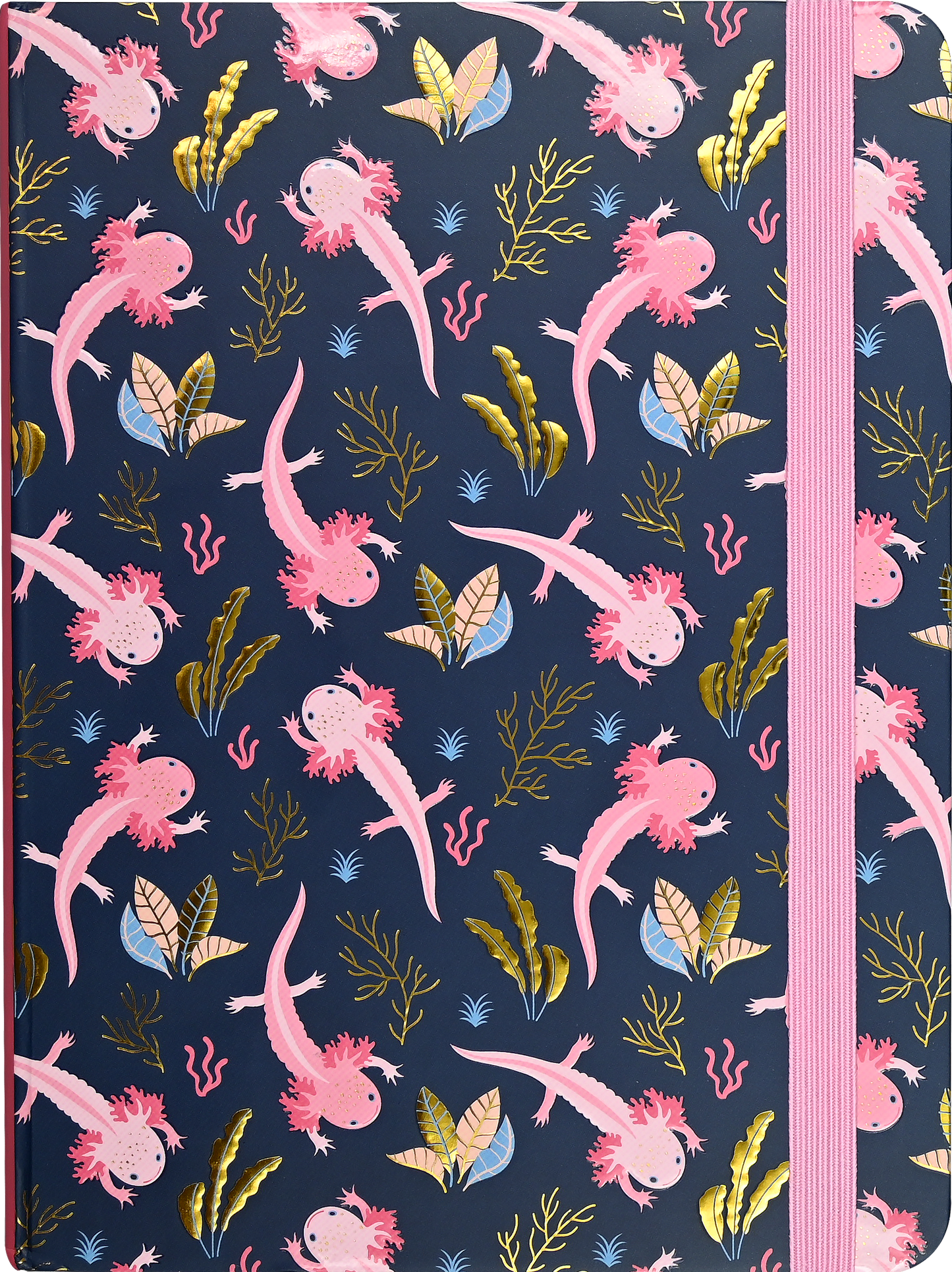 Journal - Axolotls Journal