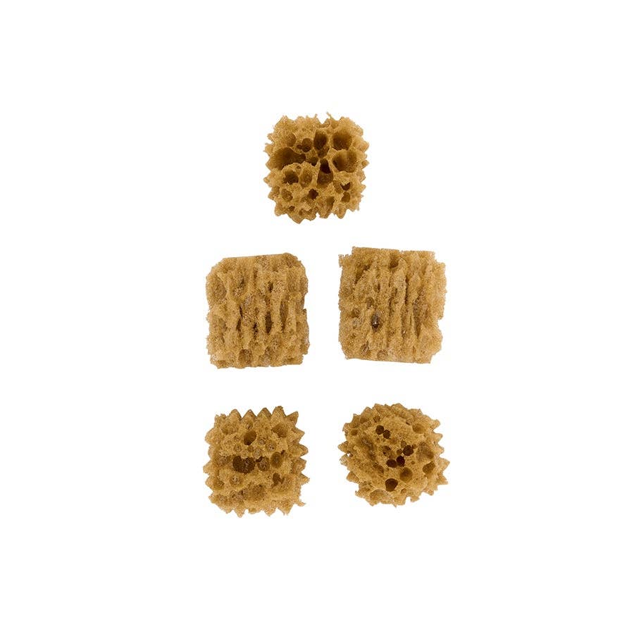 Sponges - Value Pack - 5-Piece