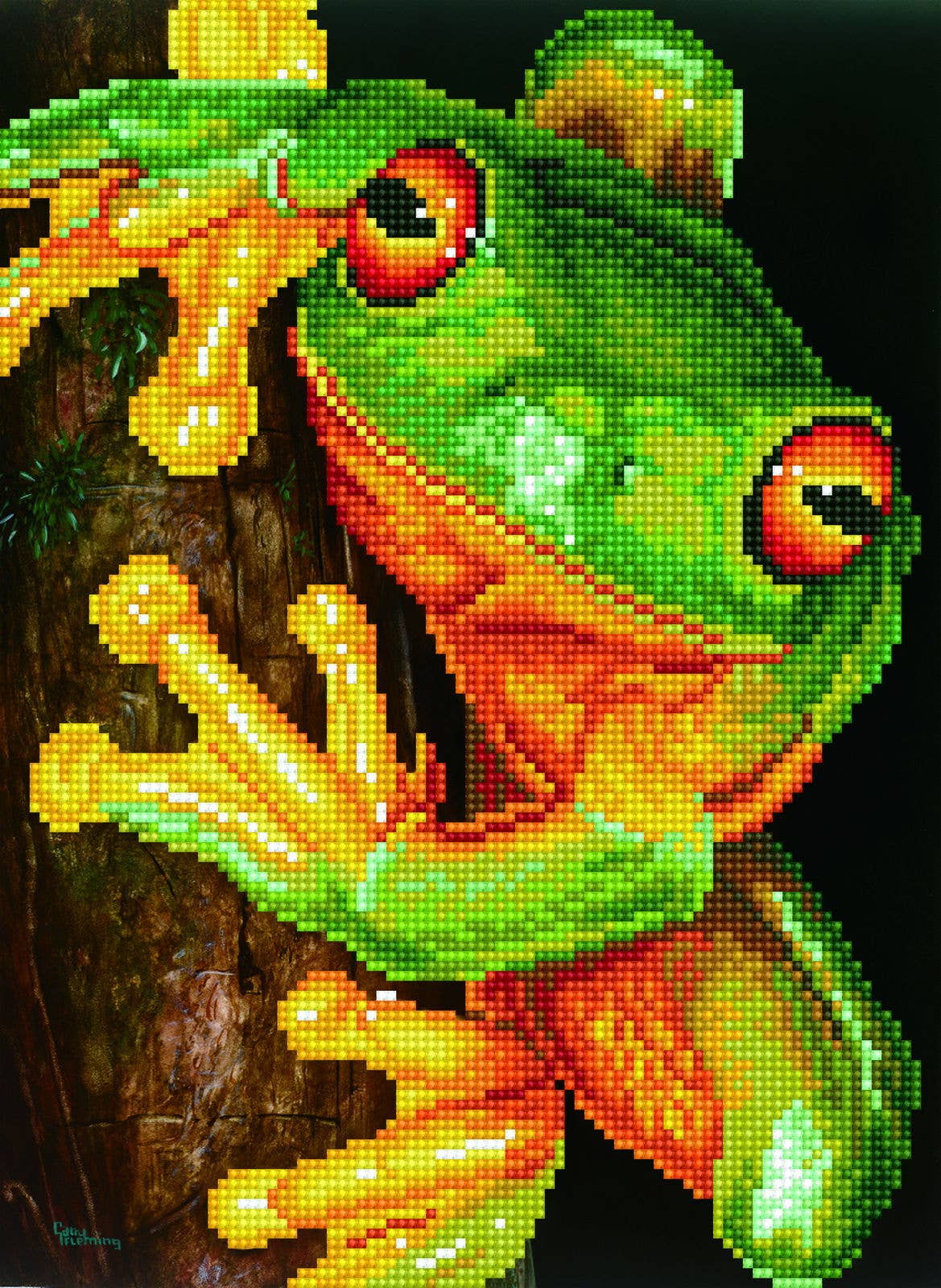 Diamond Dotz - Green Tree Frog Pre-Framed Kit - 10.6" x 14.6"