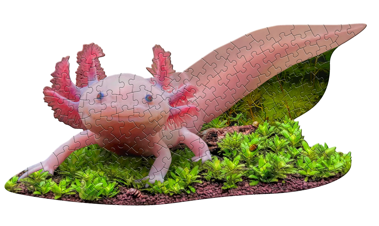 Puzzle - 100 Piece - I am Lil' Axolotl