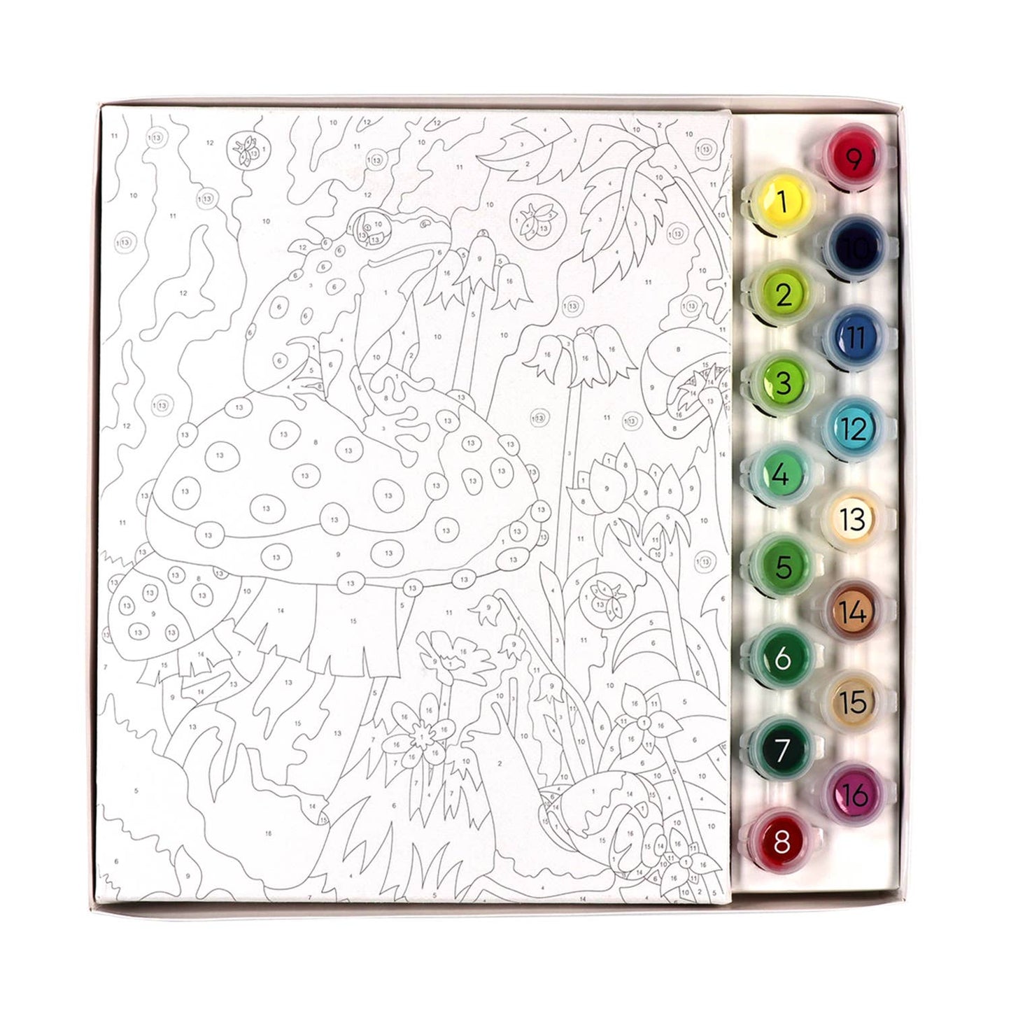 Paint By Numbers - Frog & Mushroom