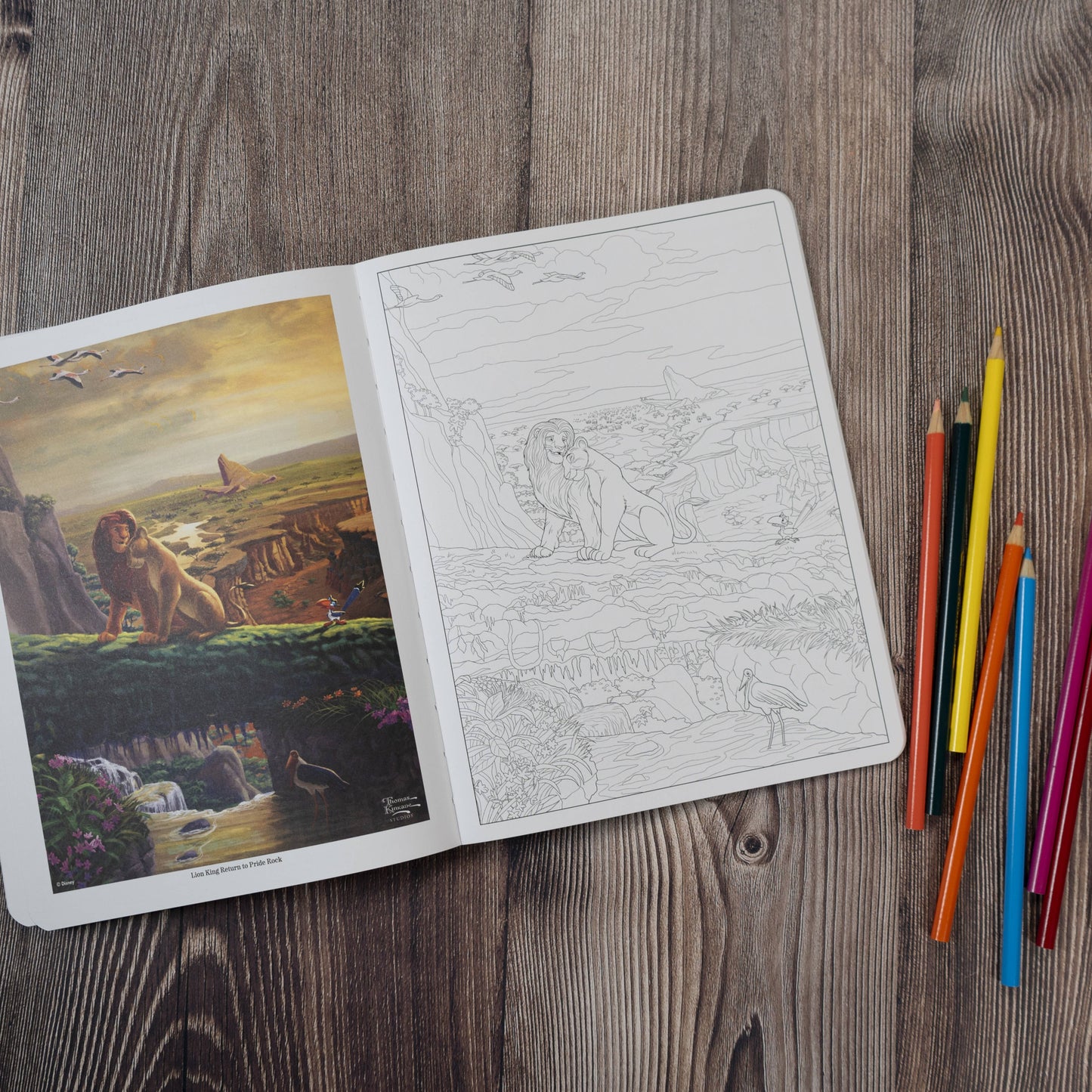 Coloring Book - Disney Dreams Collection Thomas Kinkade Studios Celebrations Coloring Book by Thomas Kinkade Studios: Paperback; 96 pages