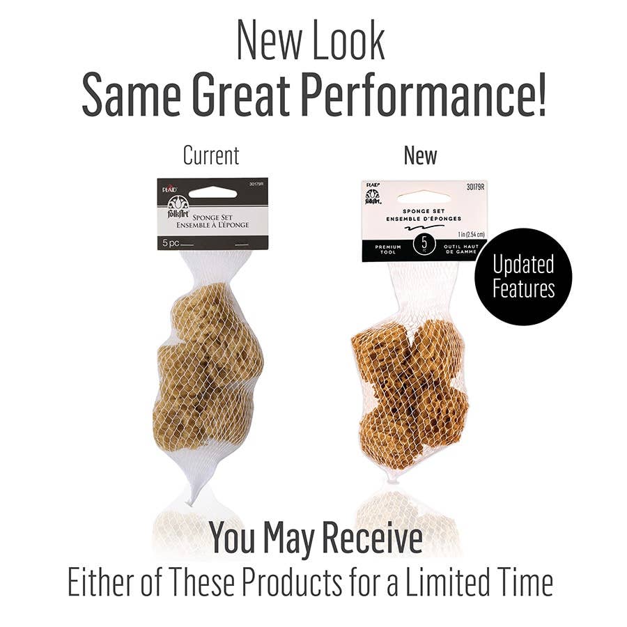 Sponges - Value Pack - 5-Piece