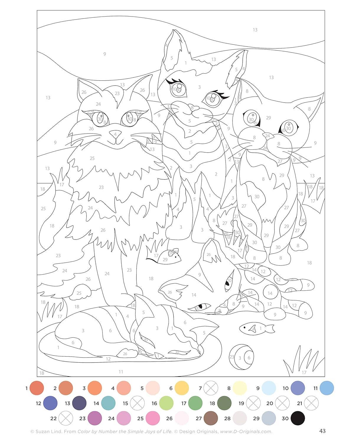 Coloring Book - Color by Number the Simple Joys of Life