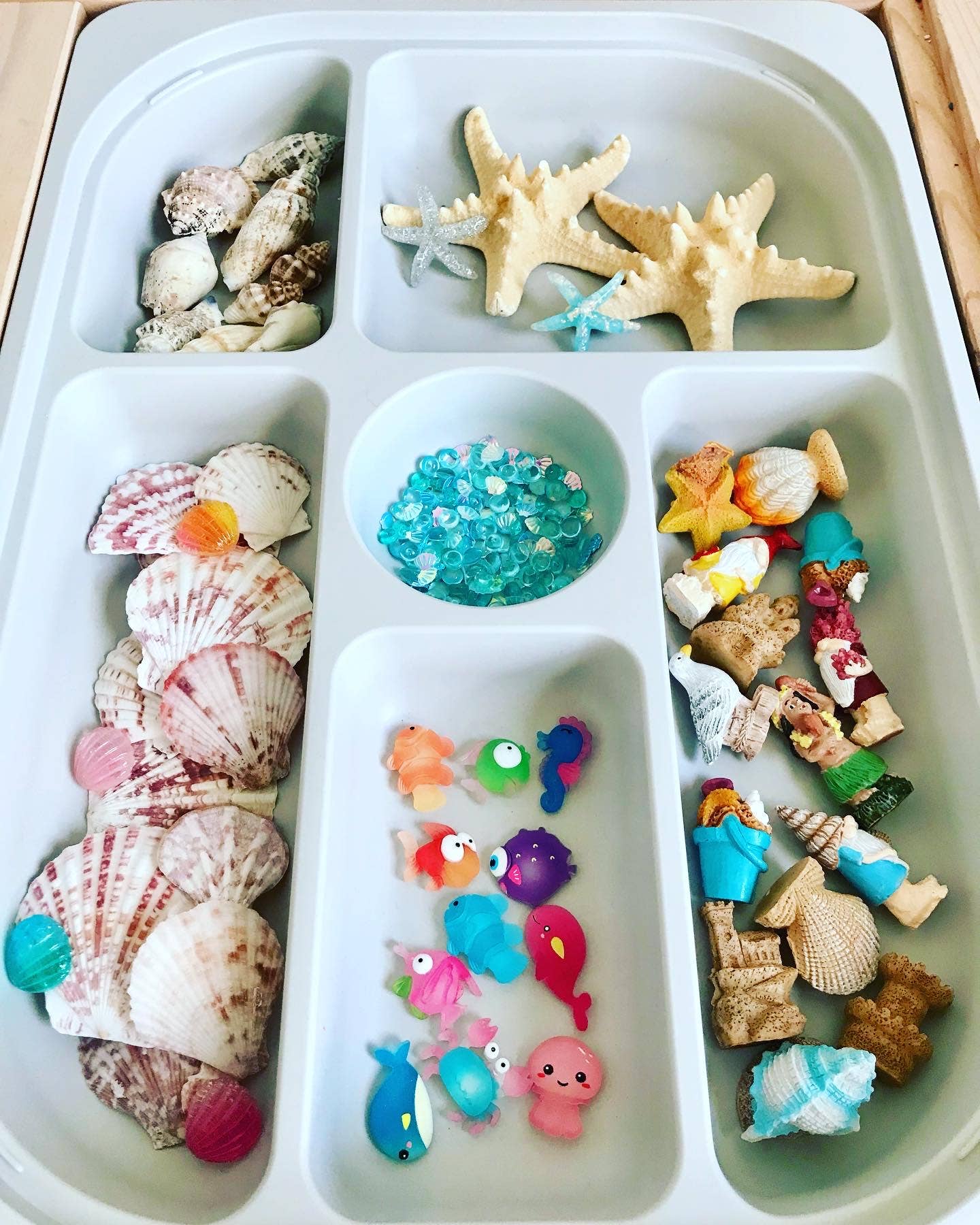 Embellishments - Sea Stars Flat Backz Embellishment Set