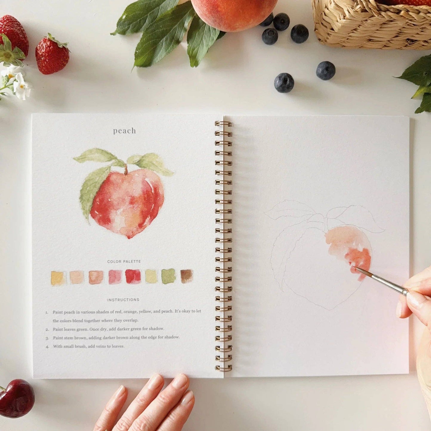 Workbook - Fruit watercolor workbook
