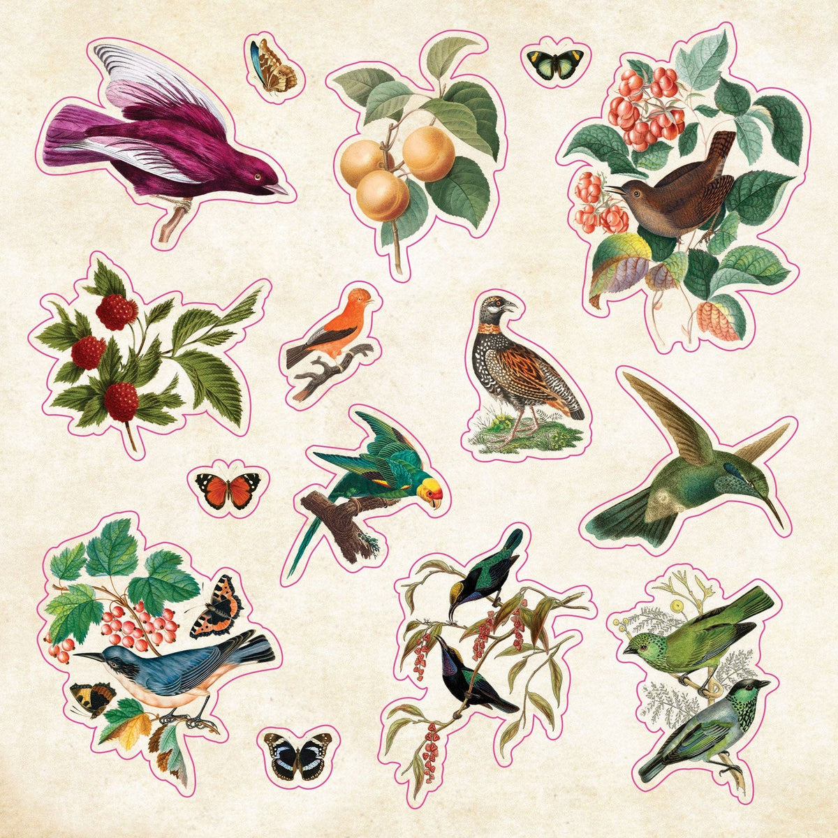 Stickers - The Sticker Book of Curiosities