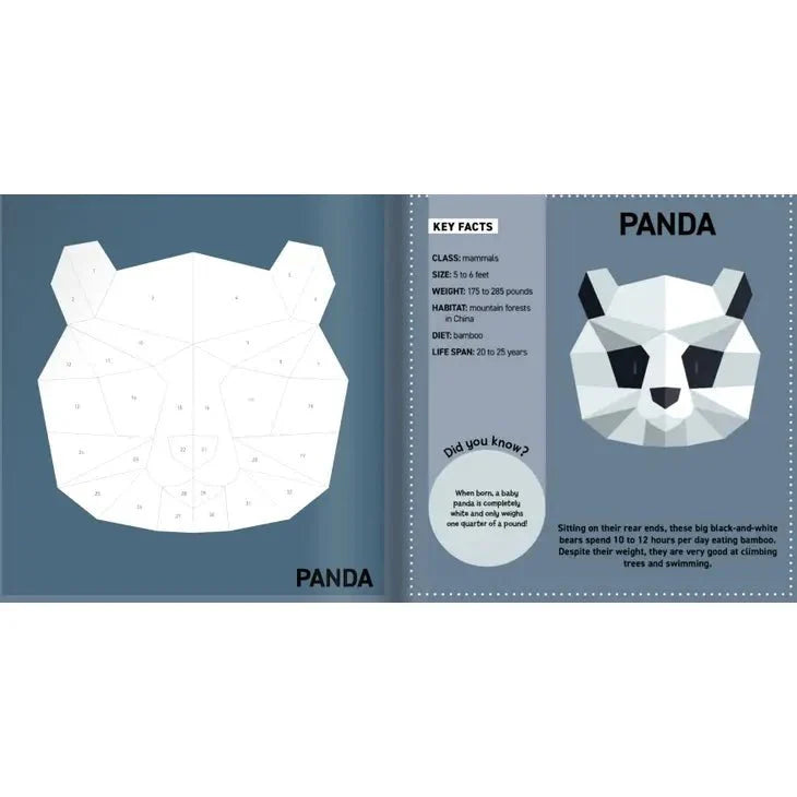 Sticker - My Sticker Painting Book Animals