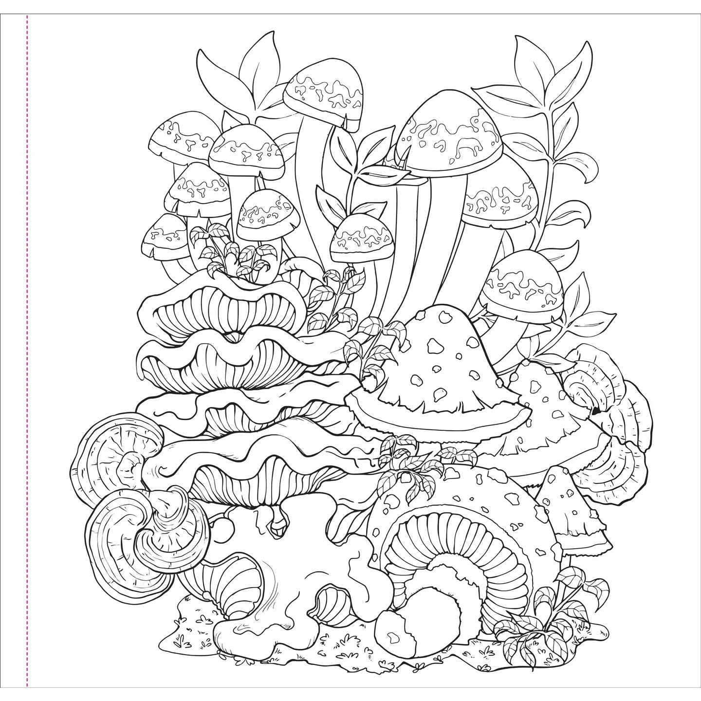 Coloring Book - Mushrooms Adult Coloring Book