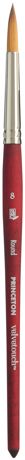 Paint Brush - Princeton Artist Brush Velvetouch Round #8