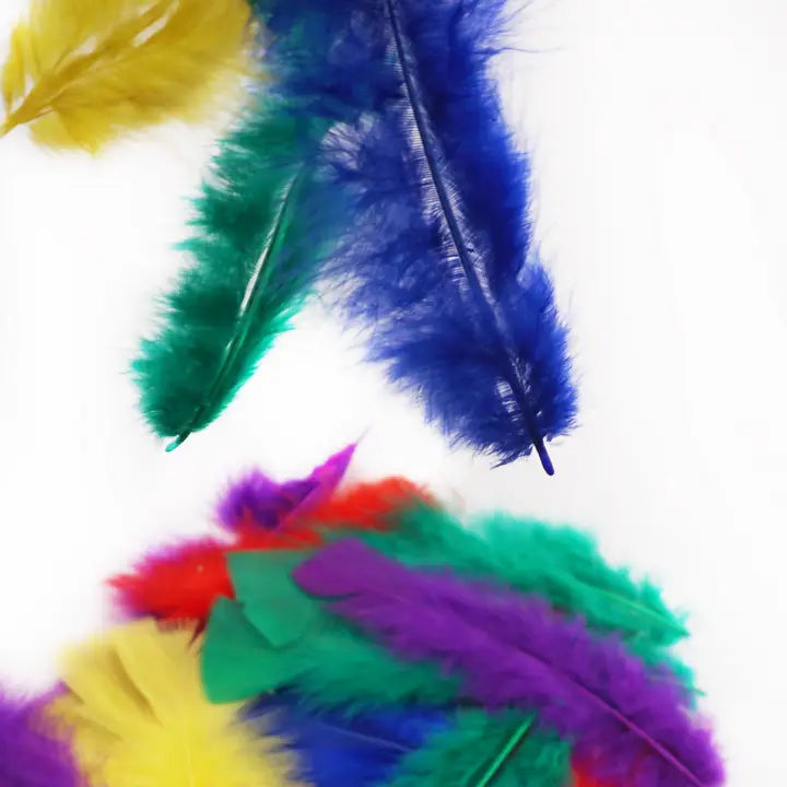 Feathers - Feathers 8g in Asst. Colors