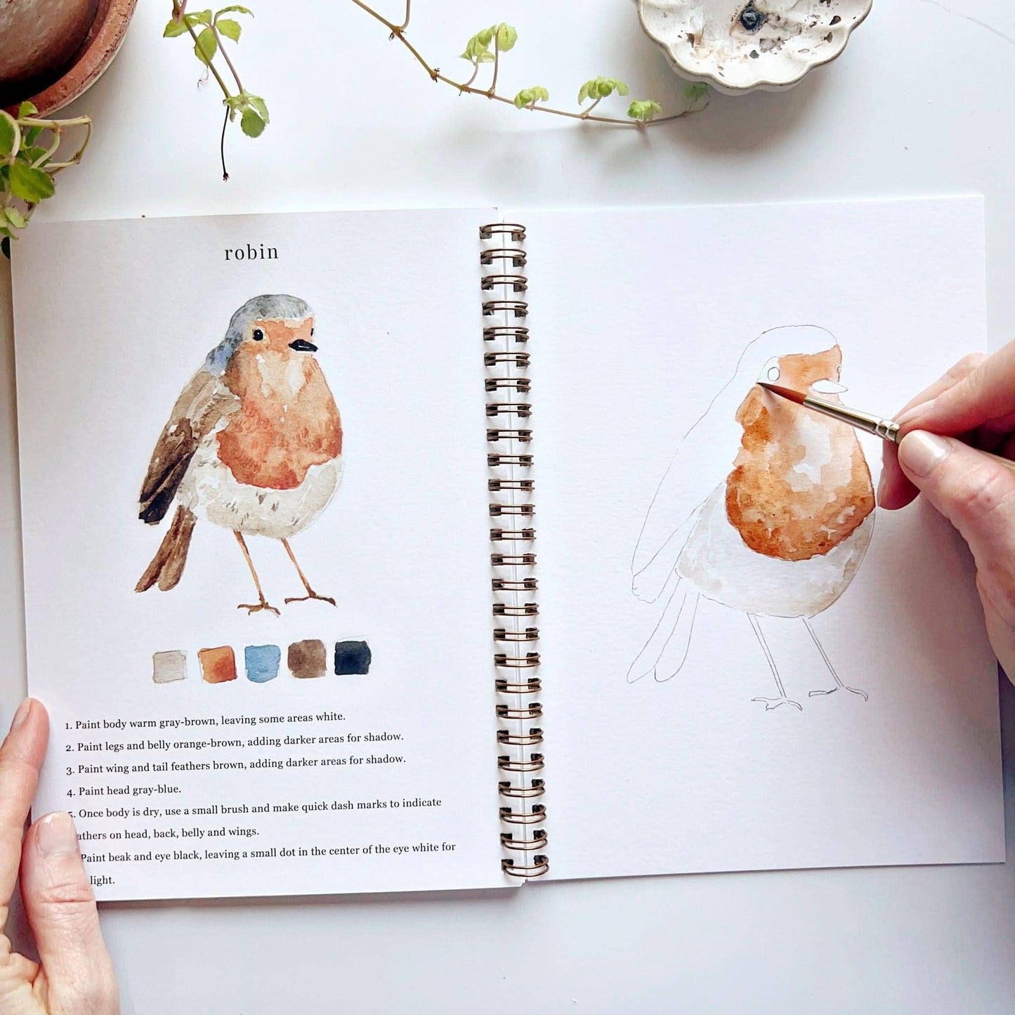 Workbook - Birds watercolor workbook