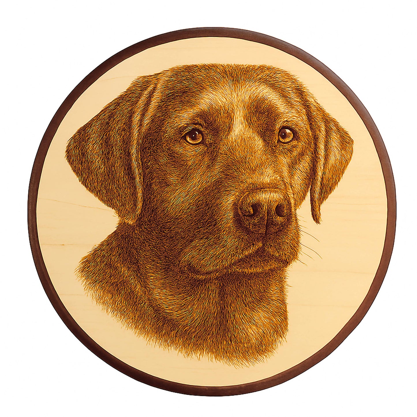 Wood - Basswood Circle Plaque, 8 in. Dia. for Wood Projects