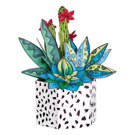 Coloring - Creative Studio Pop Up Coloring Bouquet Succulents