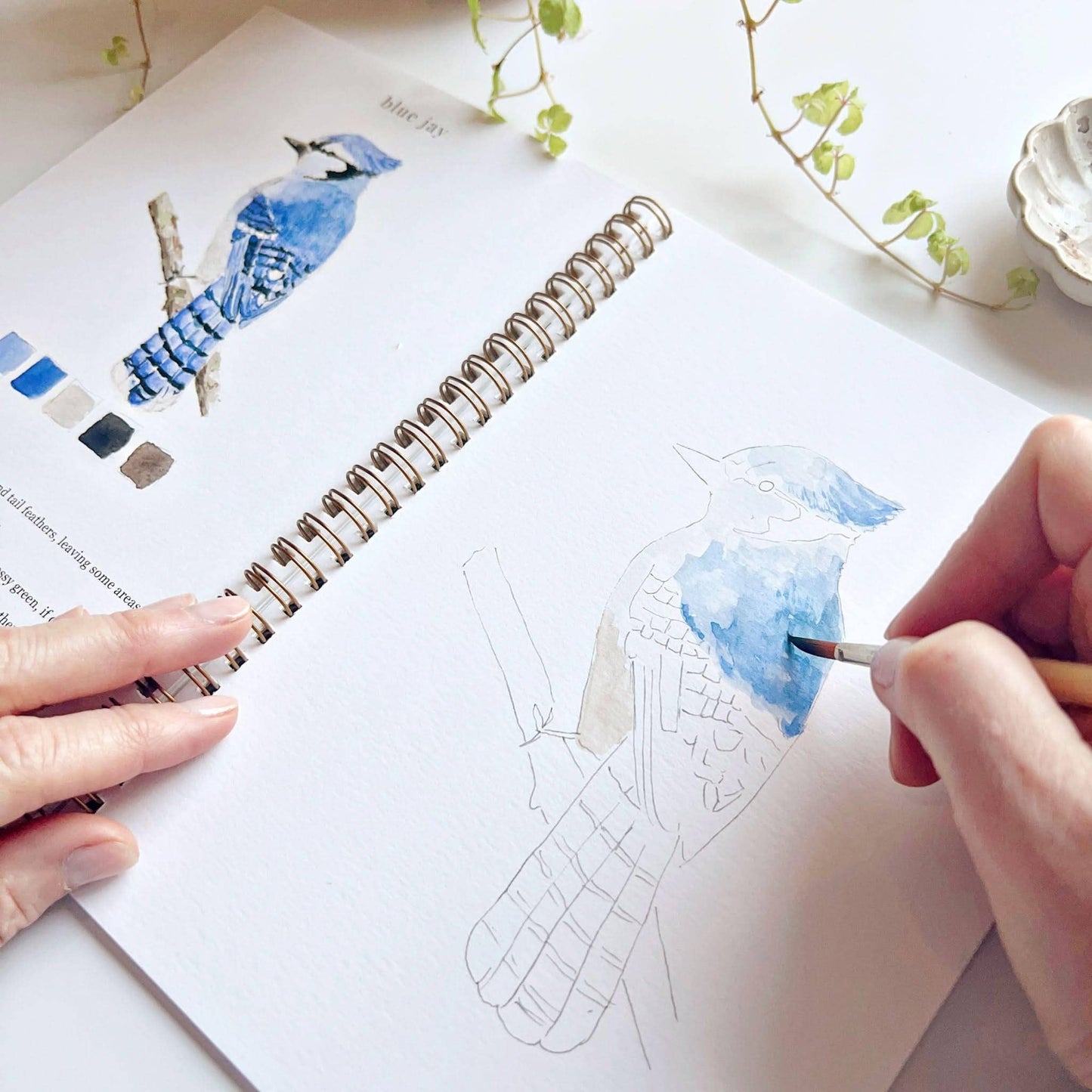 Workbook - Birds watercolor workbook
