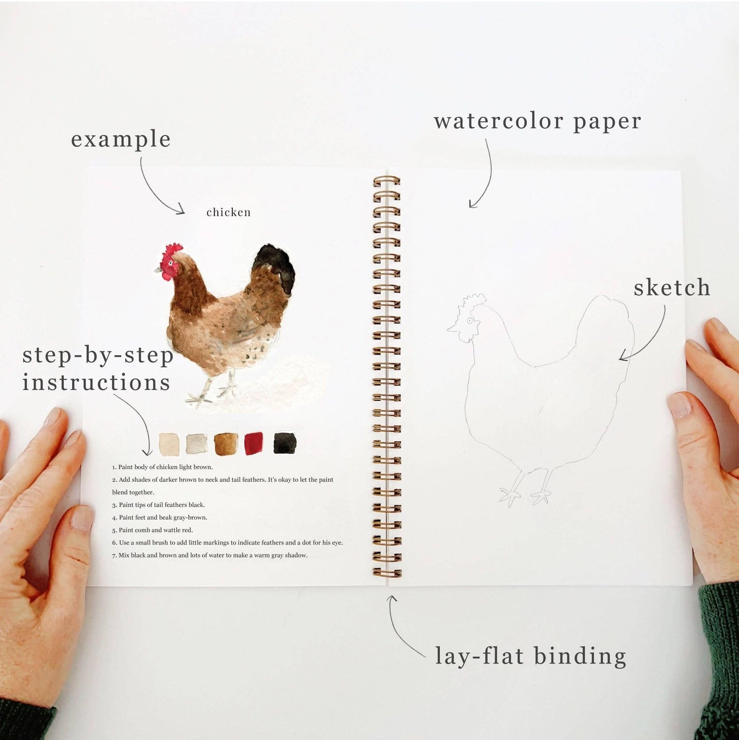 Workbook - Animals watercolor workbook