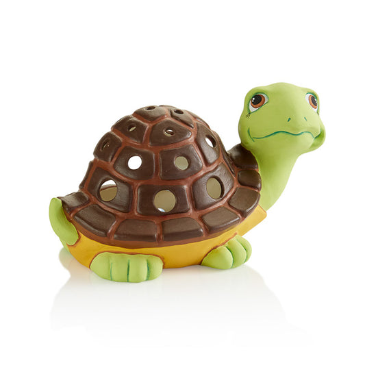 Lantern - Turtle Lantren