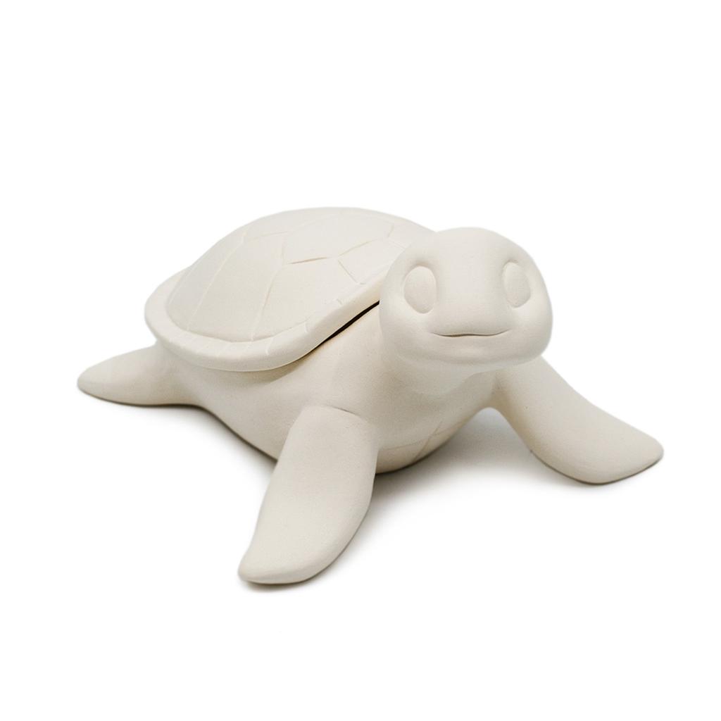 Box - Sea Turtle