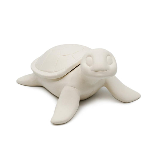 Box - Sea Turtle