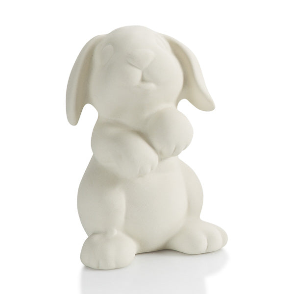 Figurine - Rabbit Party Animal