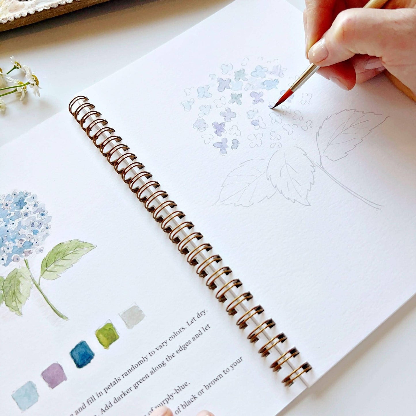 Workbook - Flowers watercolor workbook