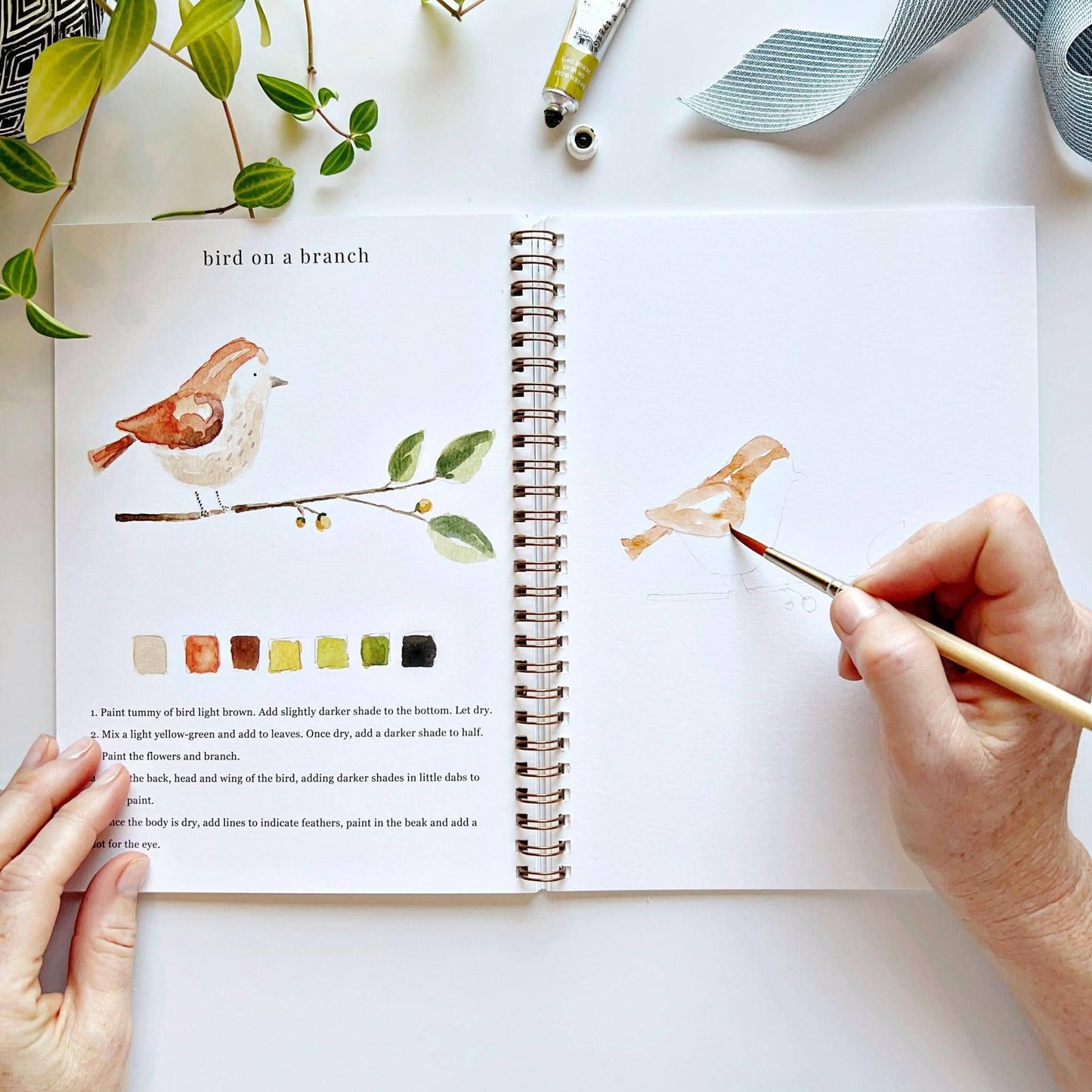 Workbook - Animals watercolor workbook