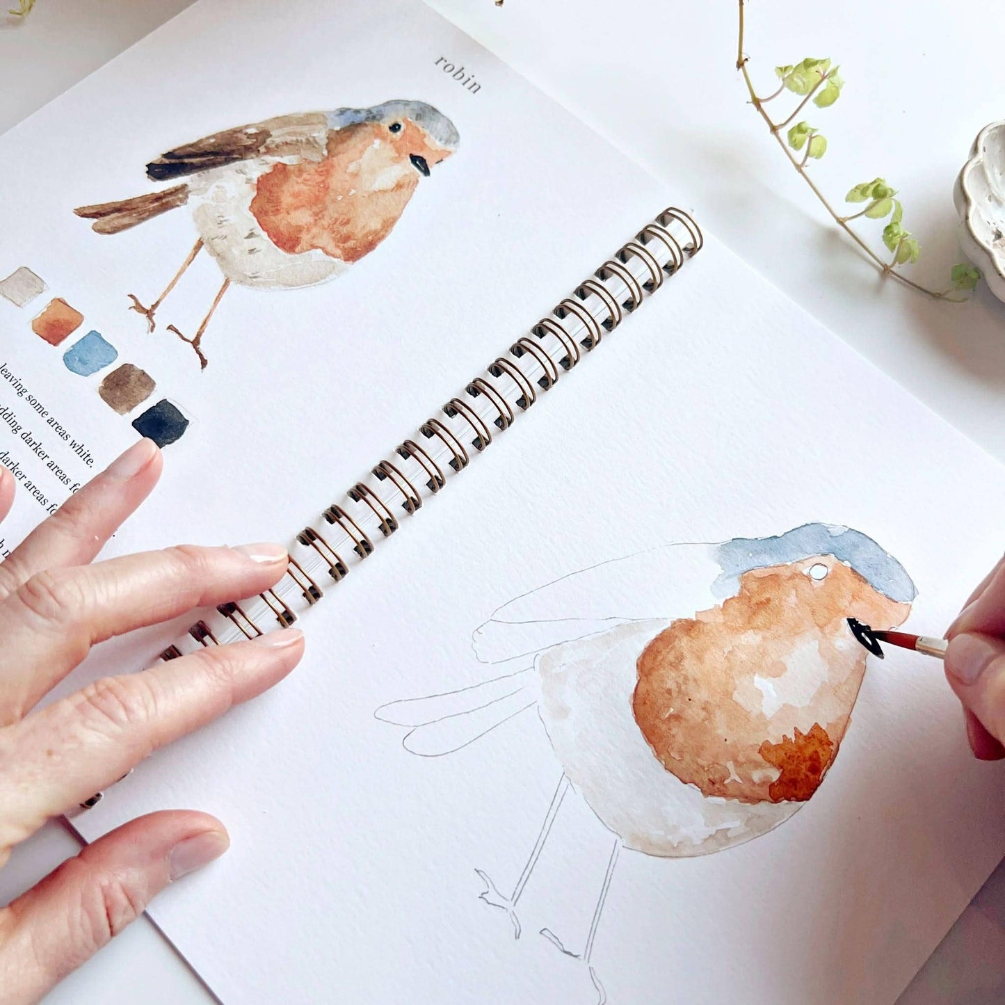 Workbook - Birds watercolor workbook
