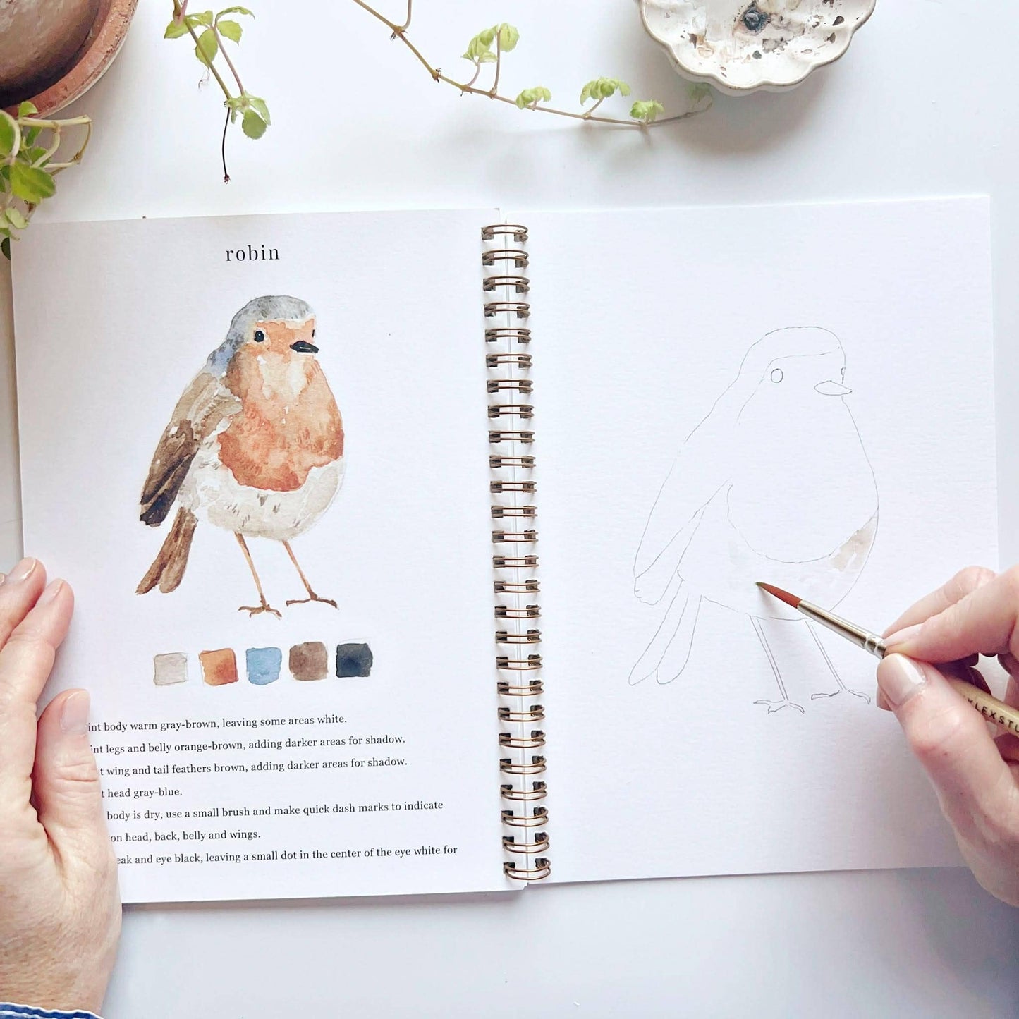 Workbook - Birds watercolor workbook