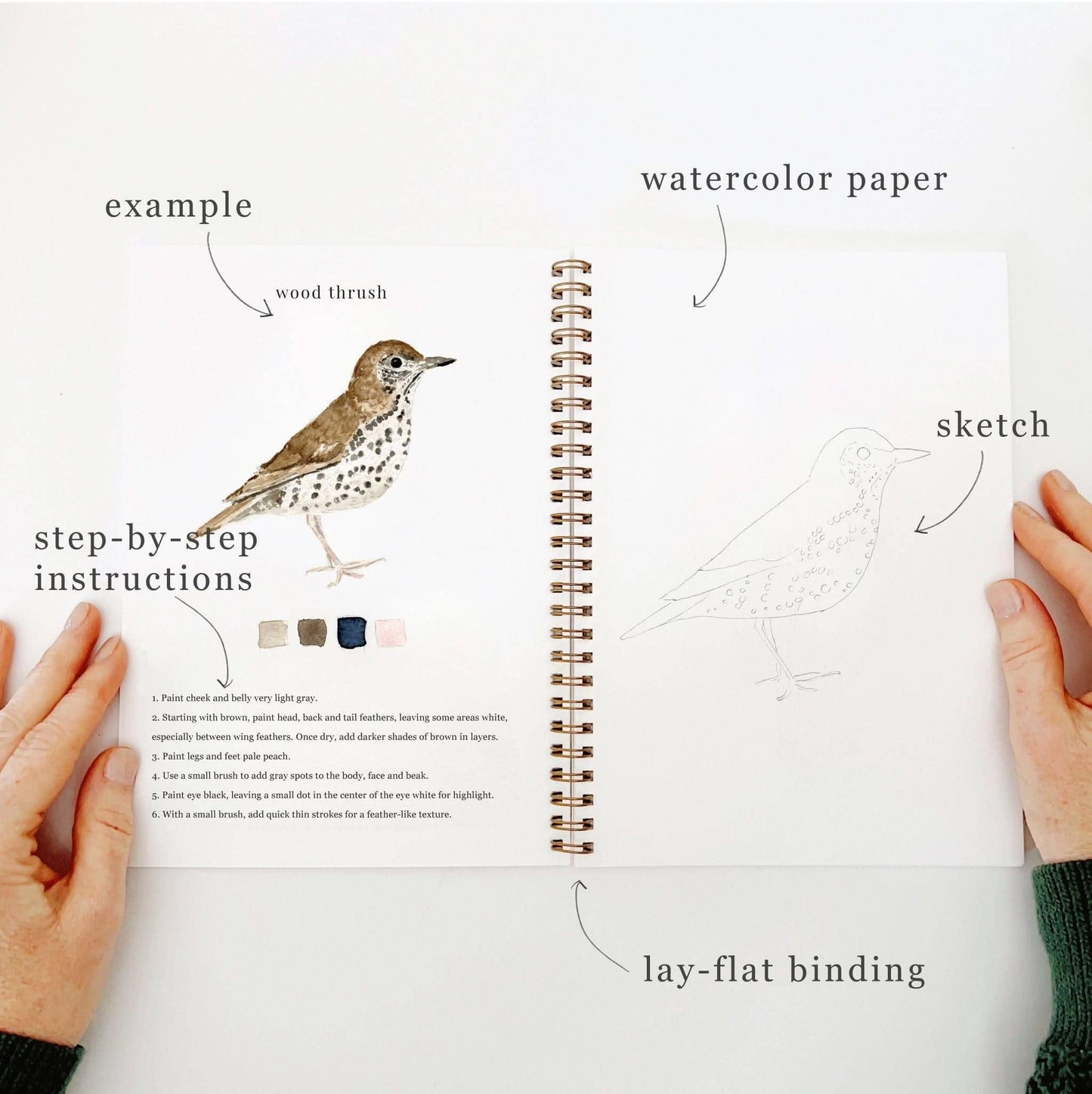 Workbook - Birds watercolor workbook